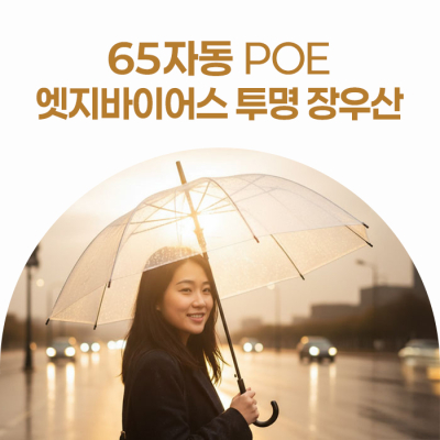 ��ǥ 65�ڵ� POE �������̾ ���� ����