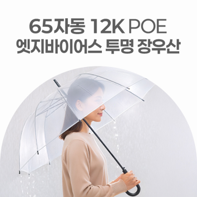 ��ǥ 65�ڵ� 12K POE �������̾ ���� ����