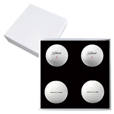 Ÿ��Ʋ����Ʈ PRO V1x ������ 4�� ���� �ιٸ����̽�