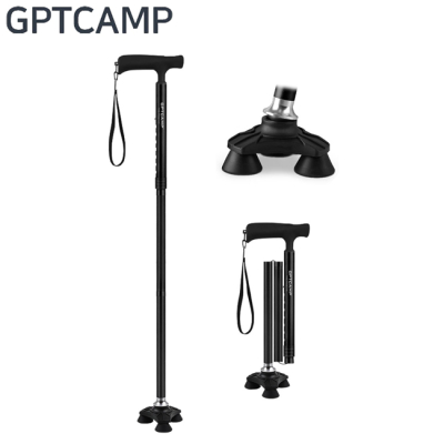 GPTCAMP GPT-T5M ������ 3��