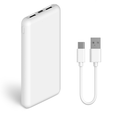 ���� 2��Ʈ ��� �������͸� 10000mAh CŸ�� ���̺� ����