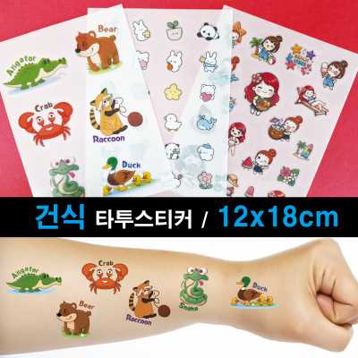 �ǽ�Ÿ��-12x18cm