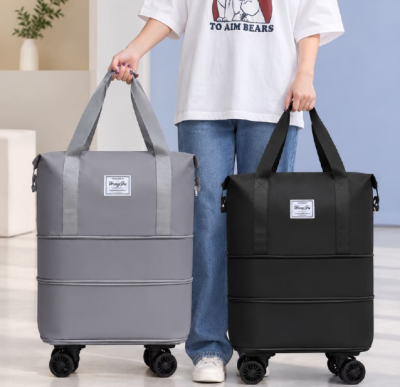 ��뷮 ���� �����Ϲ� Ȯ���� ĳ���� ���� 