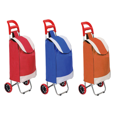 ���� ����īƮ (HS-CART-TWO)