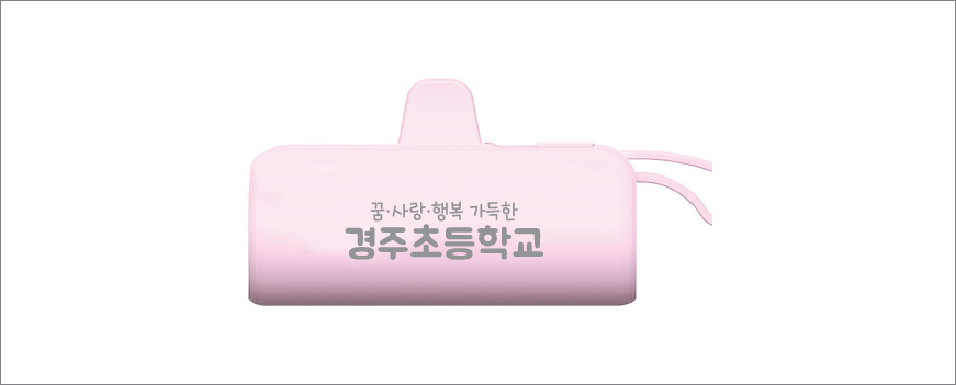 �����̾� 2way ��ŷ�� 5000mAh �������͸�
